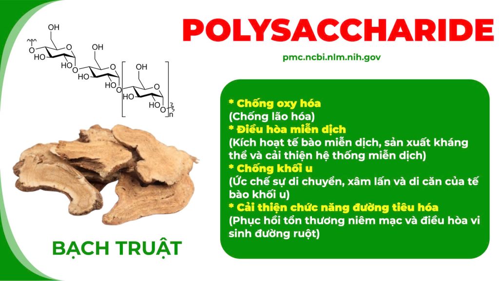 Thành phần hoá học Ngọc tố nữ