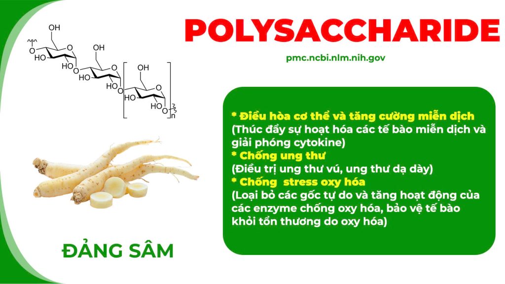 Thành phần hoá học Ngọc tố nữ