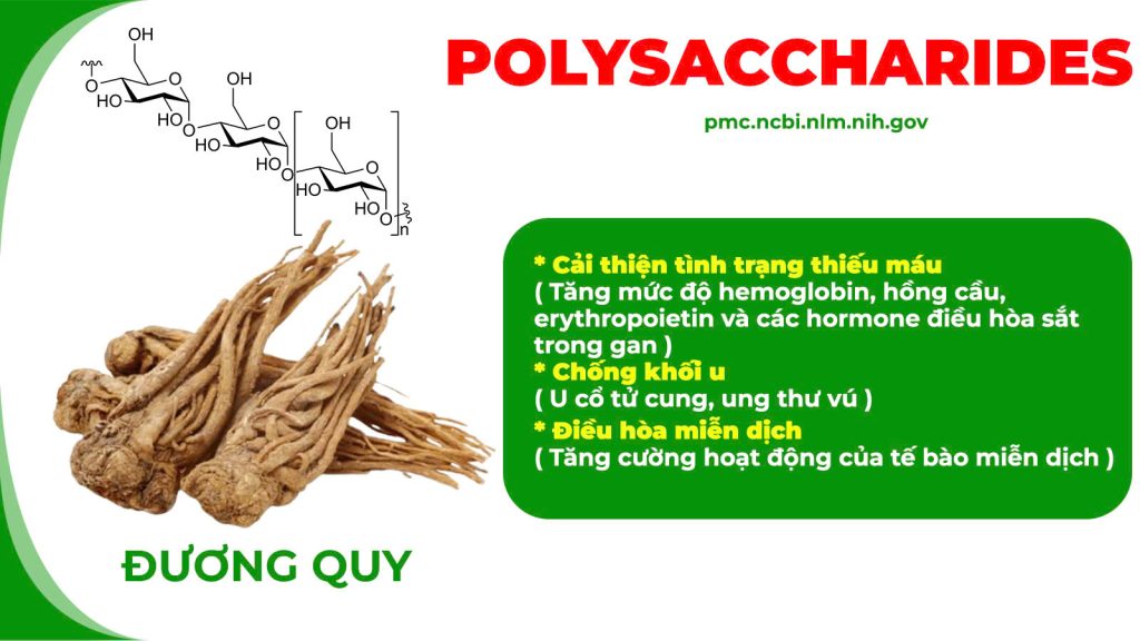 Thành phần hoá học Ngọc tố nữ