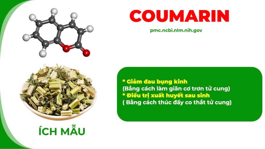Thành phần hoá học Ngọc tố nữ