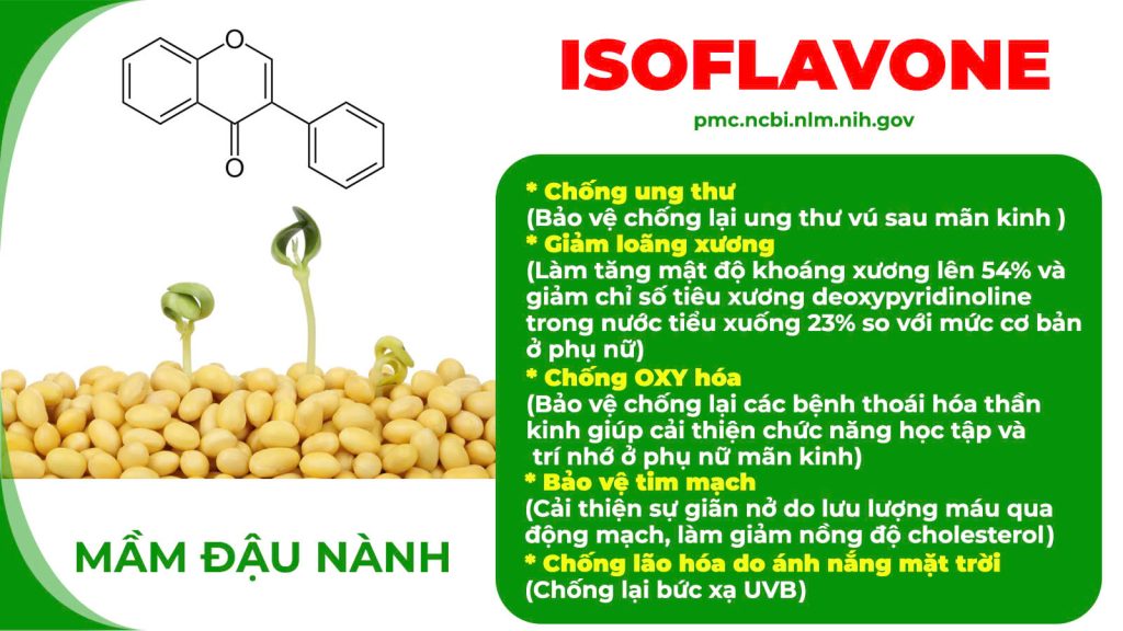 Thành phần hoá học Ngọc tố nữ