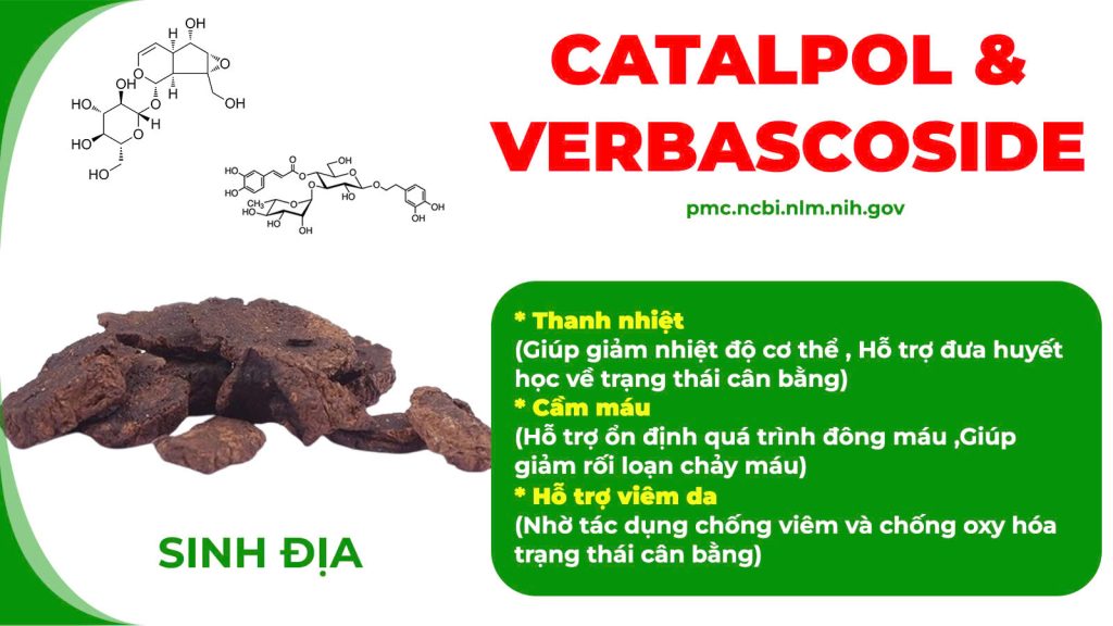 Thành phần hoá học Ngọc tố nữ
