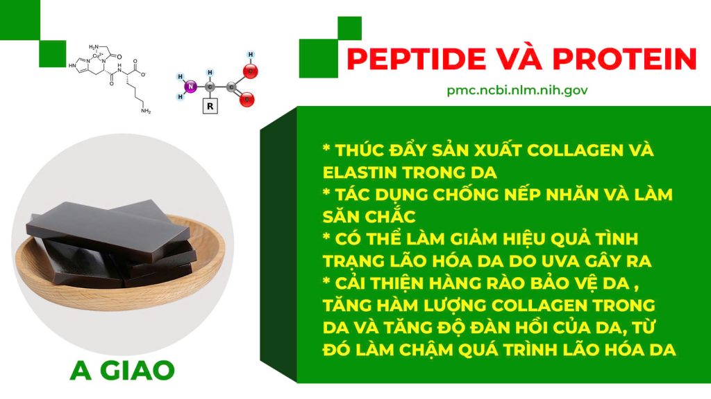 Dược phẩm PQA