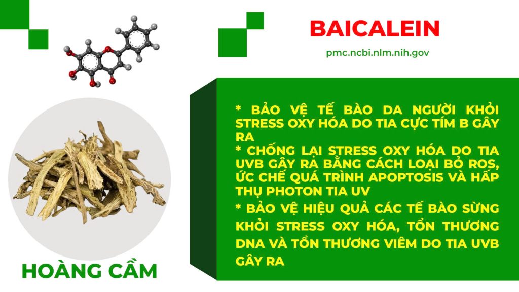 Dược phẩm PQA