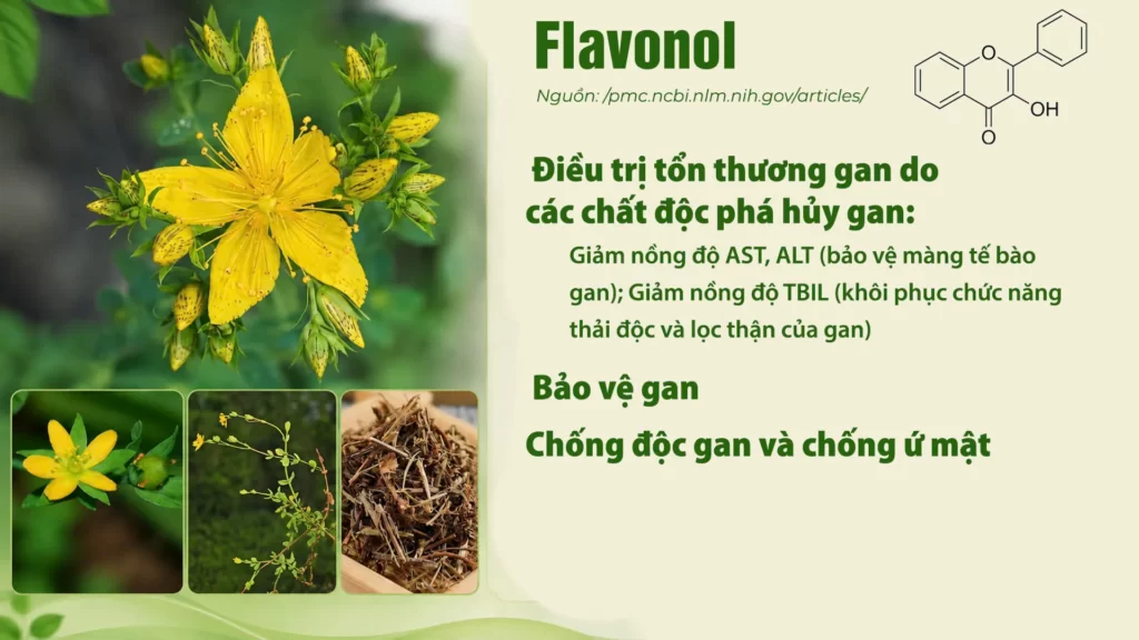 Thành phần hoá học dược liệu Ban 