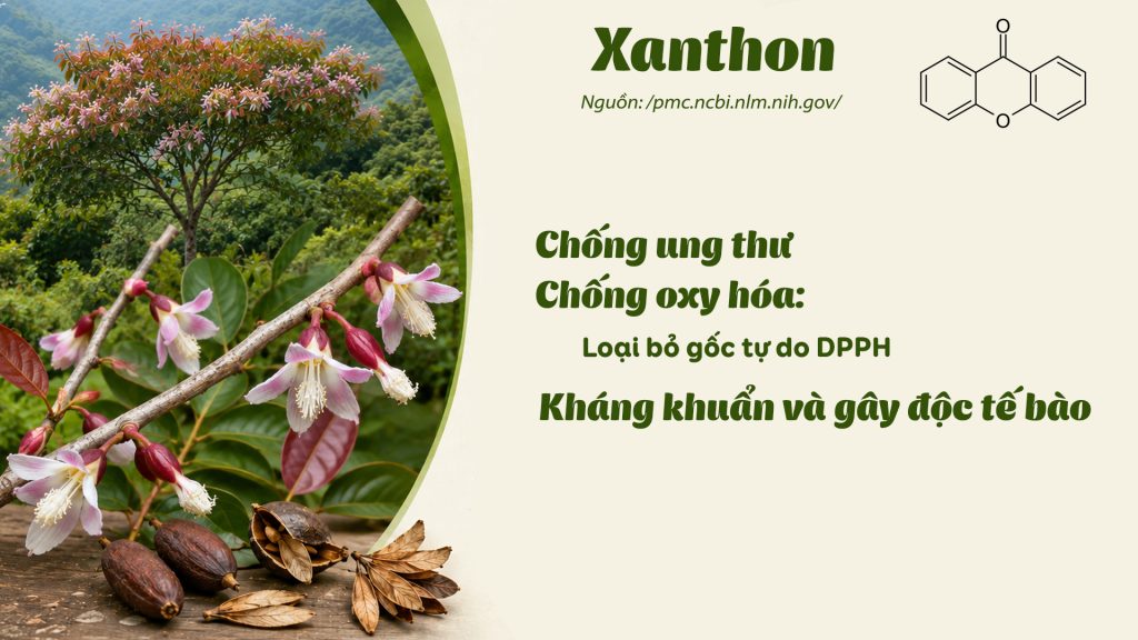 Thành phần hoá học dược liệu Thành ngạnh 