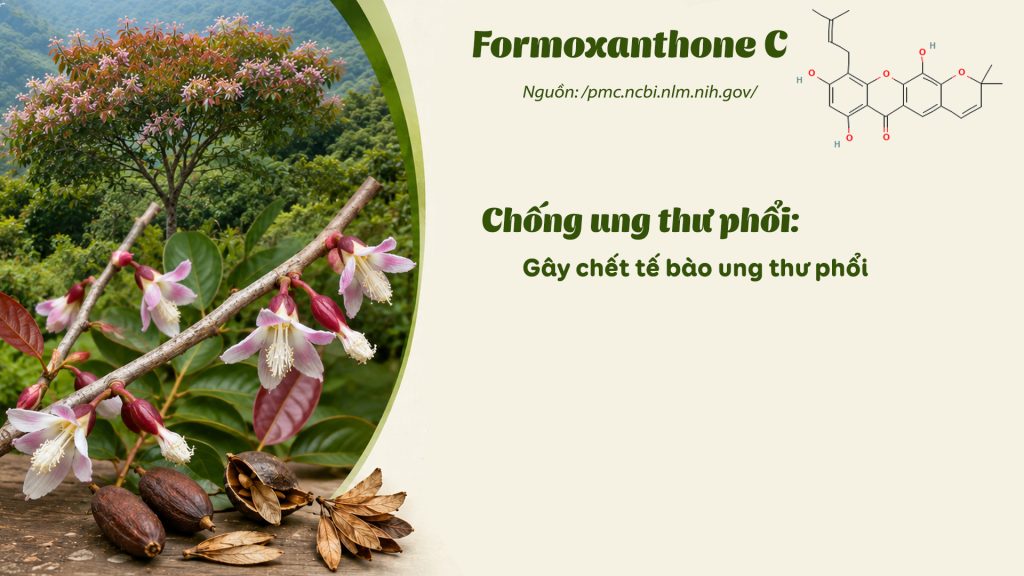 Thành phần hoá học dược liệu Thành ngạnh 