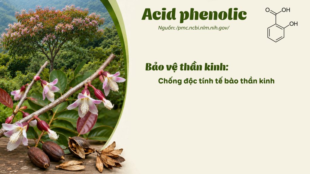 Thành phần hoá học dược liệu Thành ngạnh 
