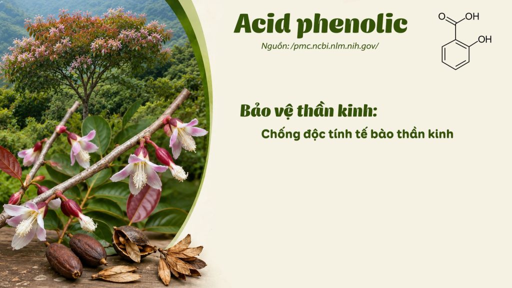 Thành phần hoá học dược liệu thành ngạnh 
