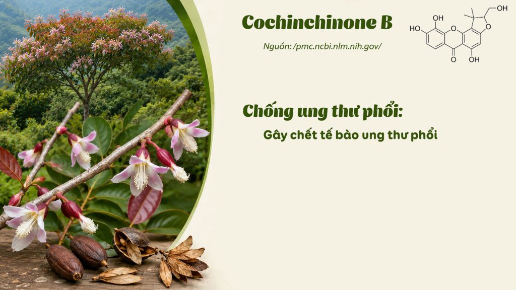 Thành phần hoá học dược liệu thành ngạnh
