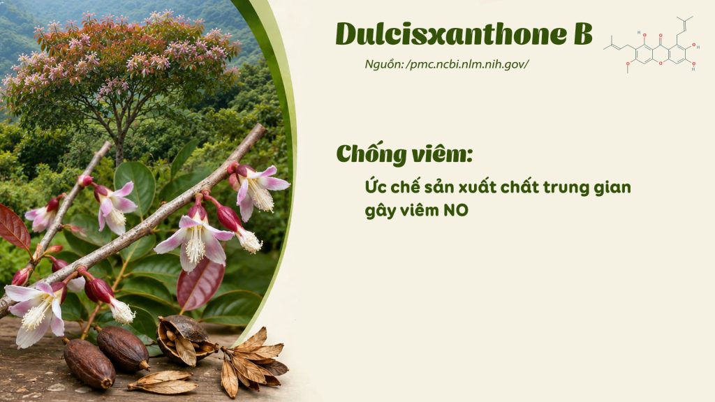 Thành phần hoá học dược liệu thành ngạnh 