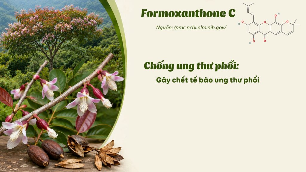Thành phần hoá học dược liệu thành ngạnh 