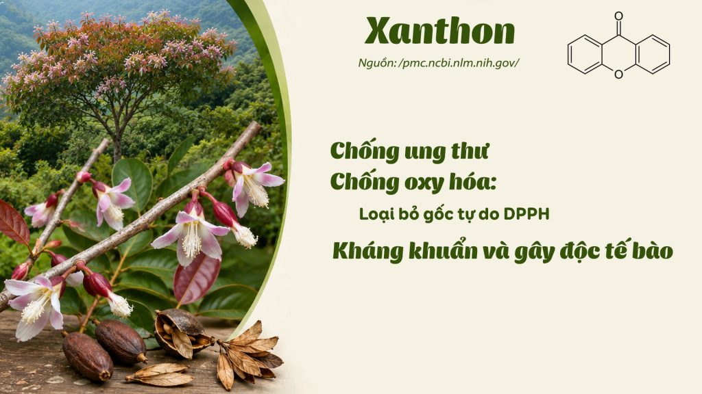 Thành phần hoá học dược liệu thành ngạnh 