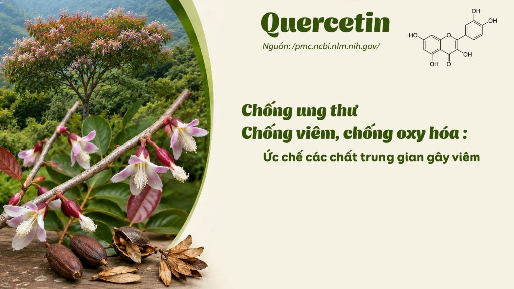 Thành phần hoá học dược liệu thành ngạnh 