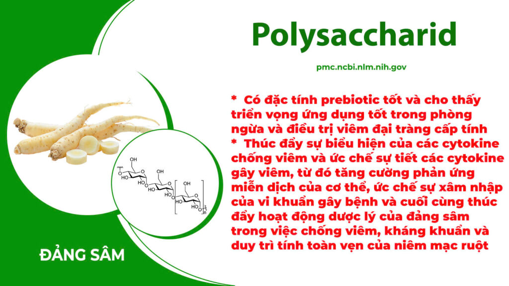 Dược phẩm PQA