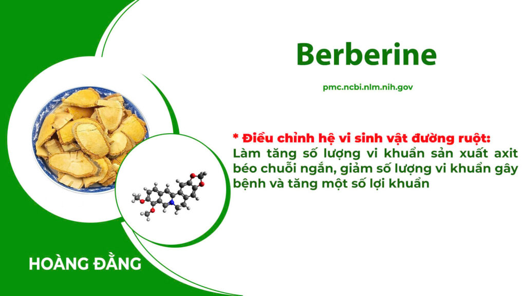 Dược phẩm PQA