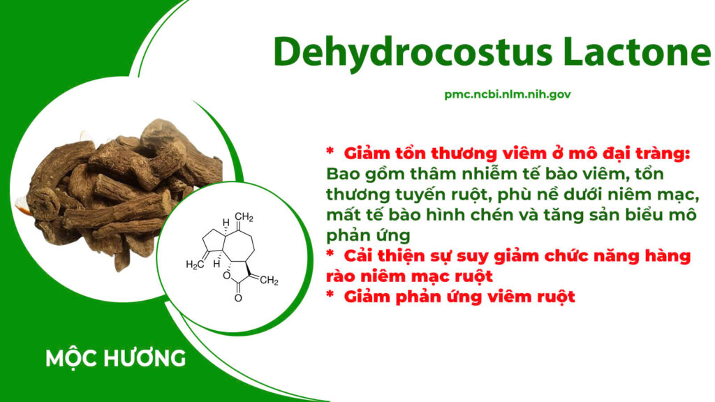 Dược phẩm PQA