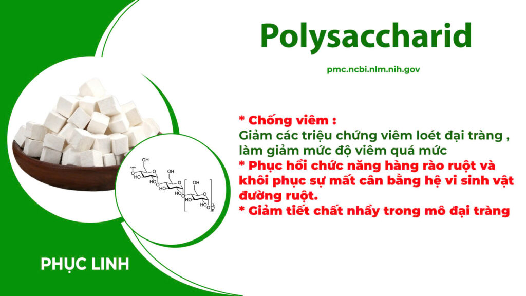 Dược phẩm PQA
