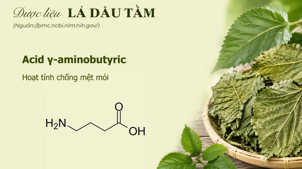 Thành phần hoá học lá dâu tằm