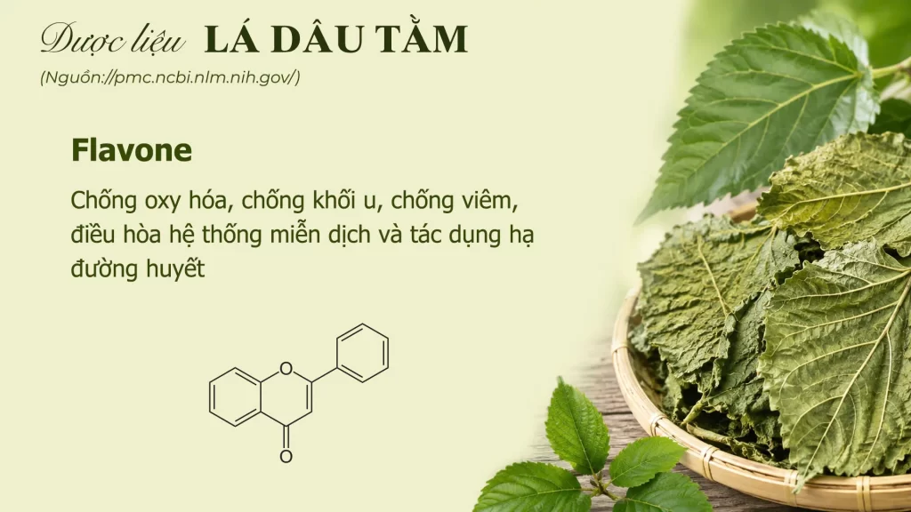 Thành phần hoá học lá dâu tằm