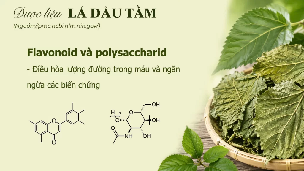 Thành phần hoá học lá dâu tằm