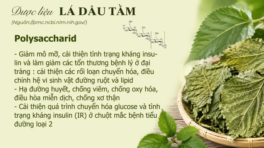 Thành phần hoá học lá dâu tằm