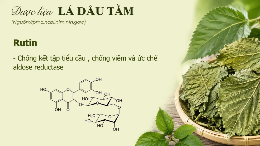 Thành phần hoá học lá dâu tằm