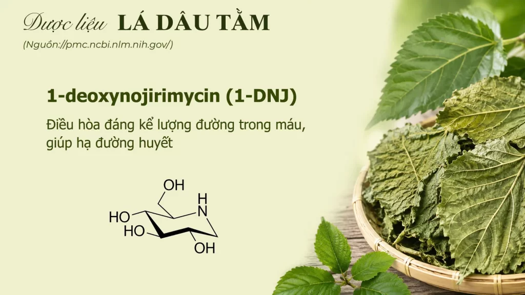 Thành phần hoá học lá dâu tằm