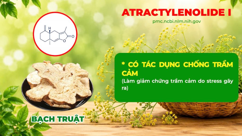 Dược phẩm PQA