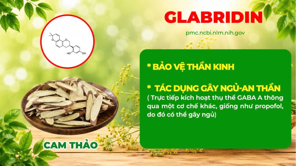 Dược phẩm PQA