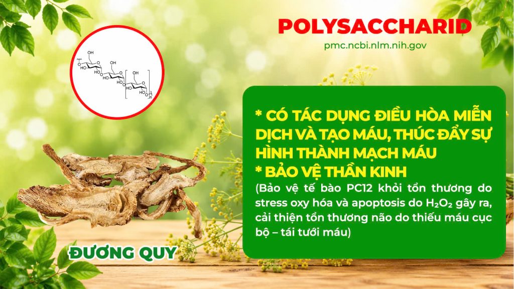 Dược phẩm PQA