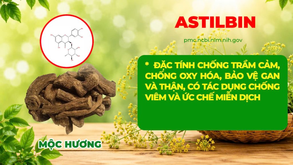Dược phẩm PQA