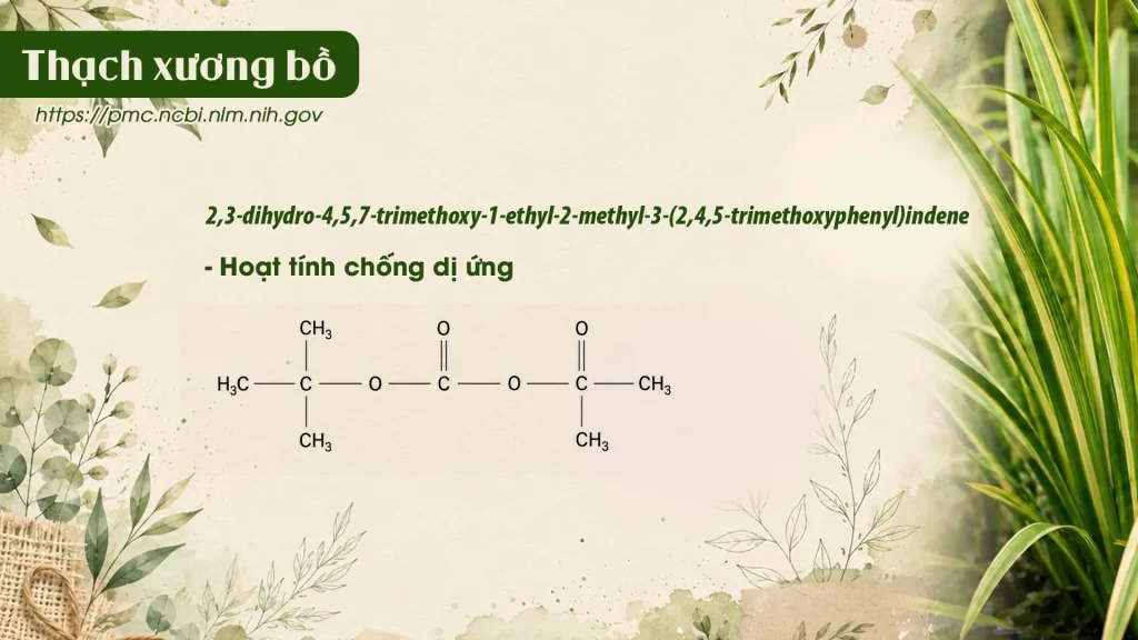 Thành phần hoá học Dược liệu Thạch xương bồ 