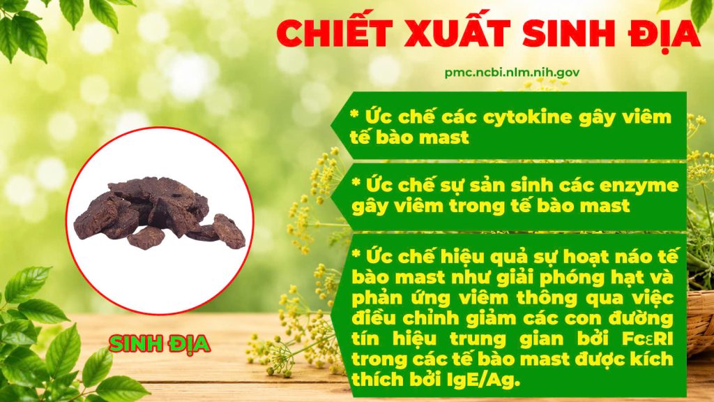 Thành phần hoá học Hoàng cầm tân di 