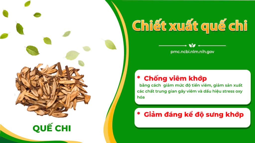 Dược phẩm PQA