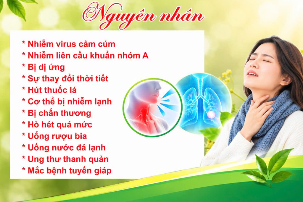 Nguyên nhân gây nên bệnh viêm phế quản - Xuyên liên thảo