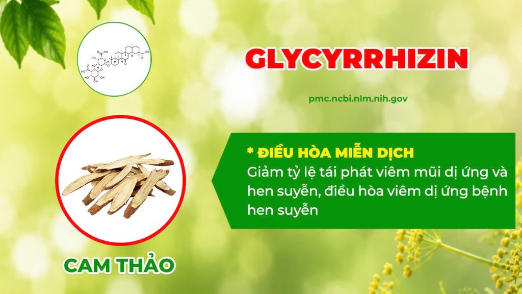 Thành phần hoá học xuyên liên thảo 