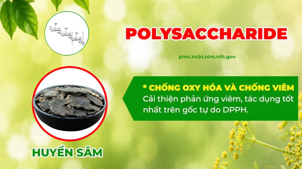 Thành phần hoá học xuyên liên thảo 
