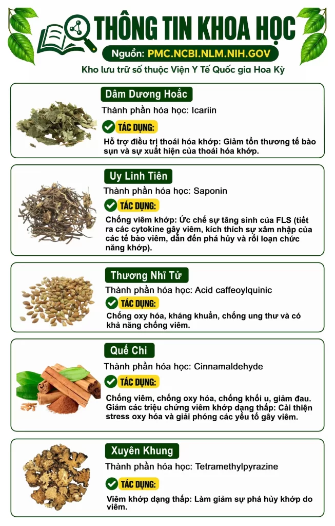 Thông tin khoa học viên nang Xương khớp 